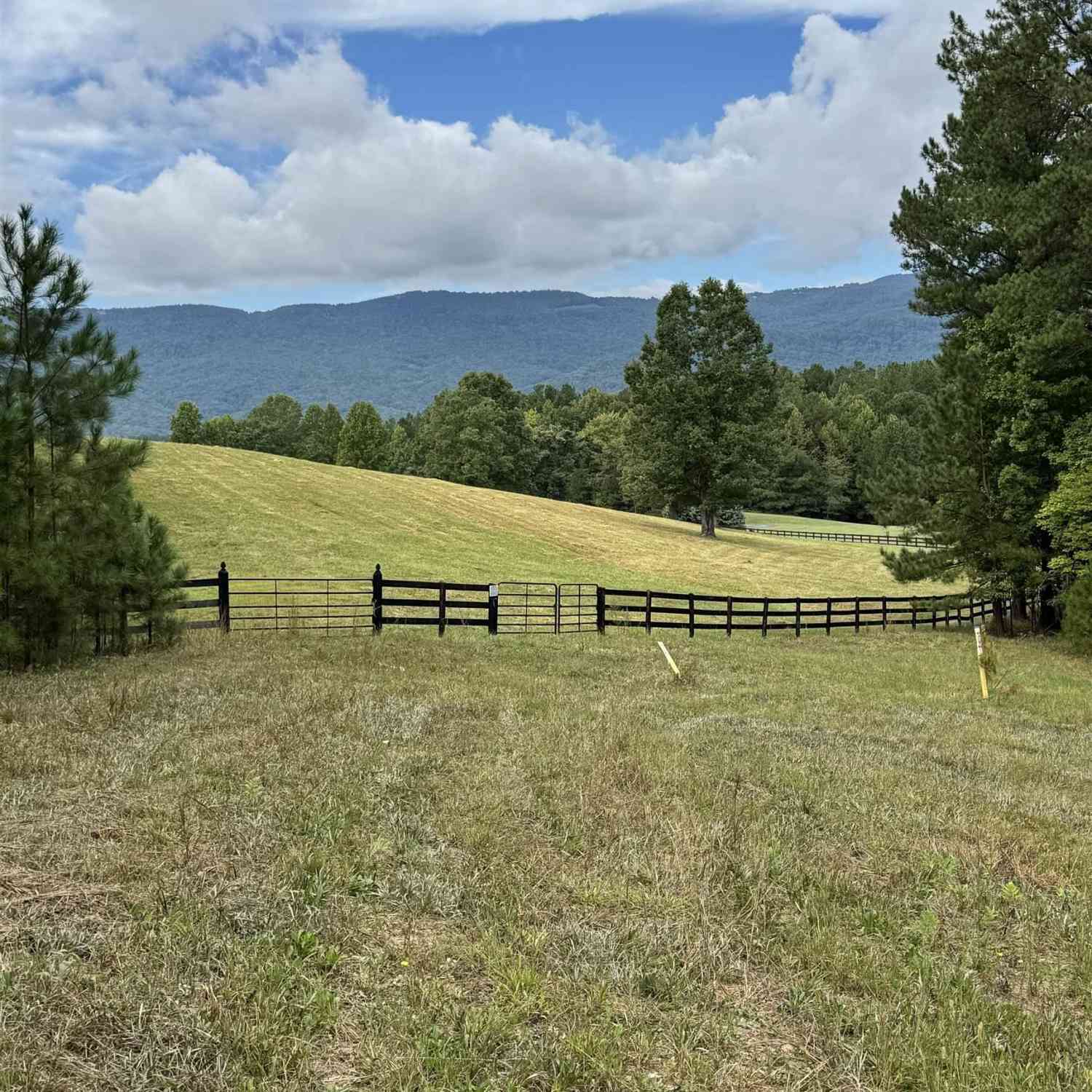 Vacant Land For Sale - River Park<br/> Polk County, Mill Spring, NC 28756