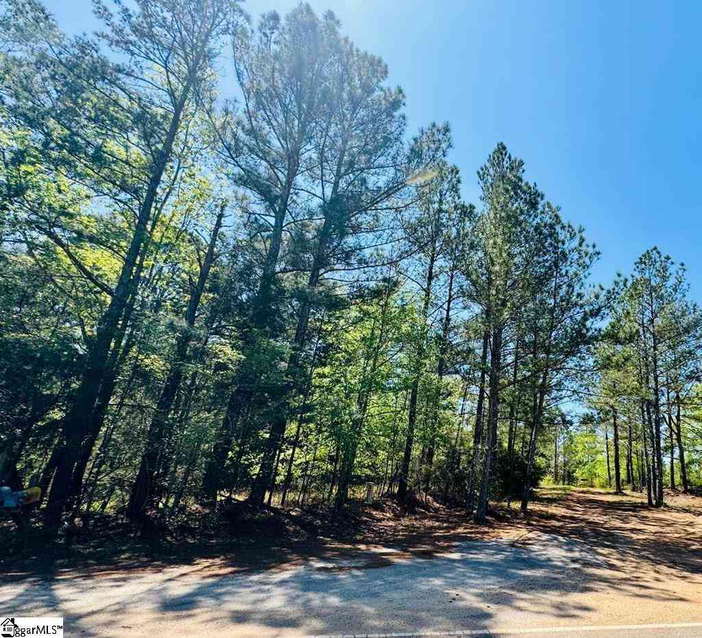 Vacant Land For Sale - 10389 Indian Mound<br/> Laurens County, Ware Shoals, SC 29692