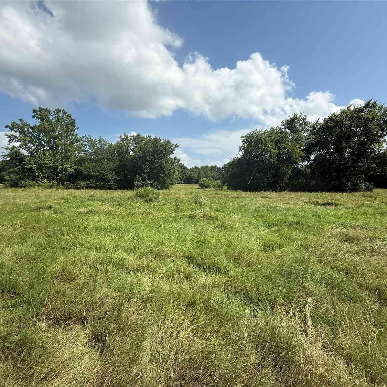 Homes For Sale - 11591-2 S Farm Road 269<br/> Hopkins County, Pickton, TX 75471
