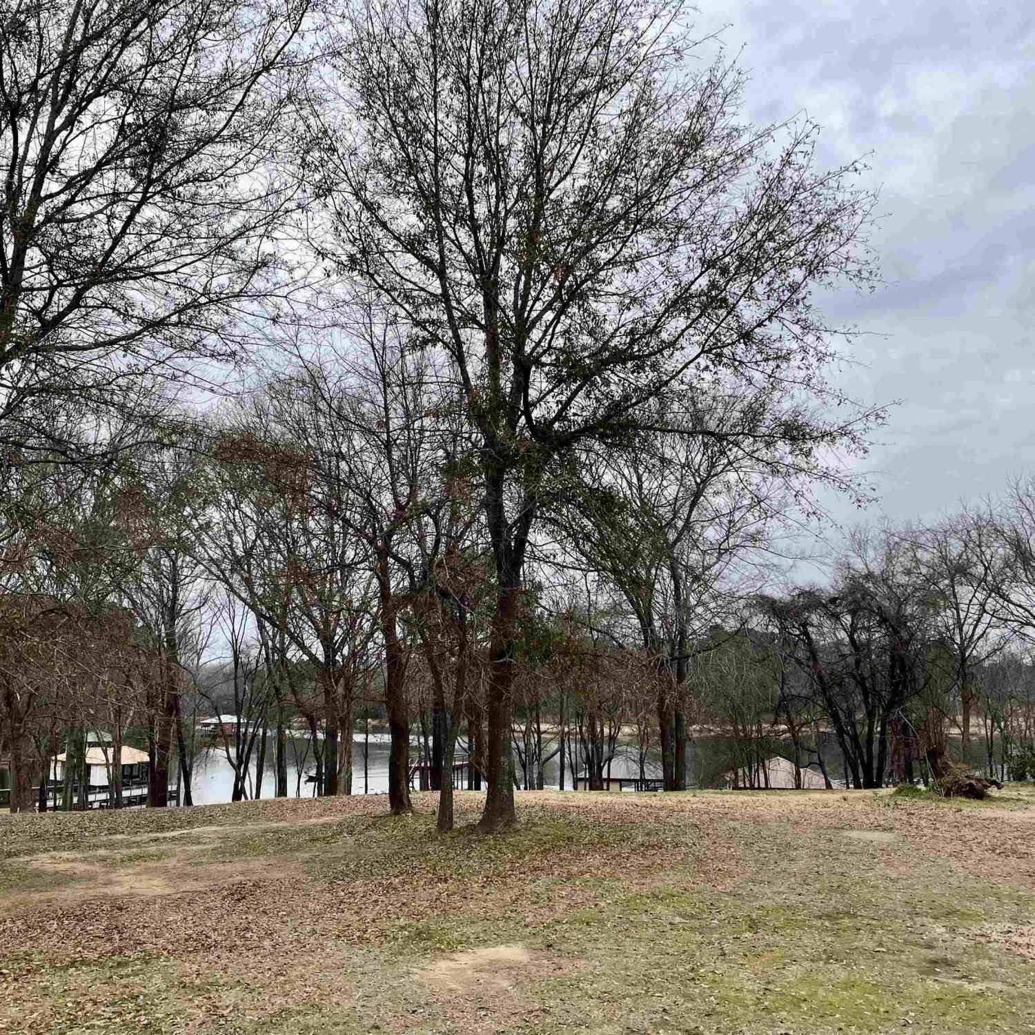 Homes For Sale - 21431 Stevenson Road<br/> Frankston, TX 75763