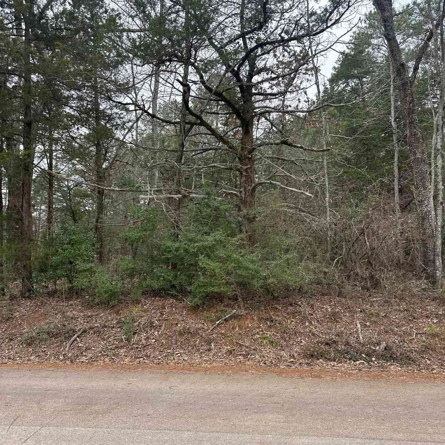 Vacant Land For Sale - 11372 Cr 2326 (caleb)<br/> Tyler, TX 75707