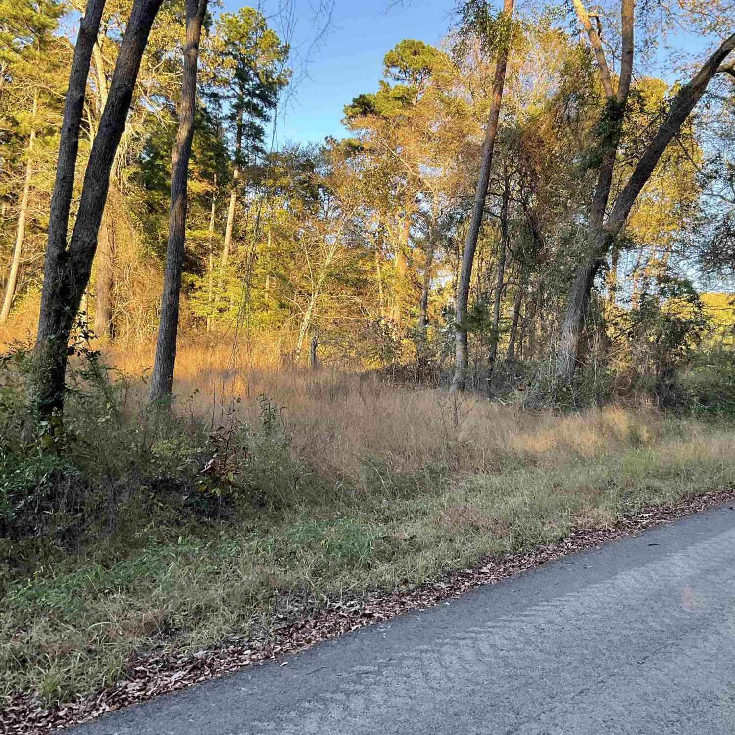 Vacant Land For Sale - 13853 Cr 291<br/> Tyler, TX 75707