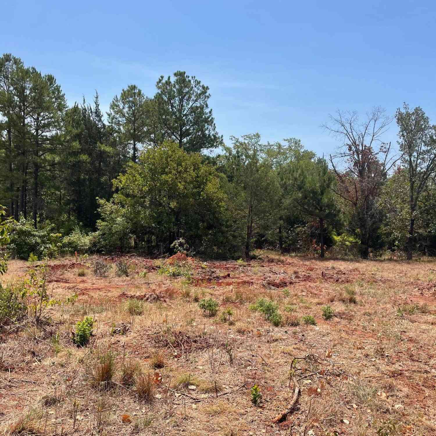 Vacant Land For Sale - 12348 Hackberry Hollow<br/> Tyler, TX 75706
