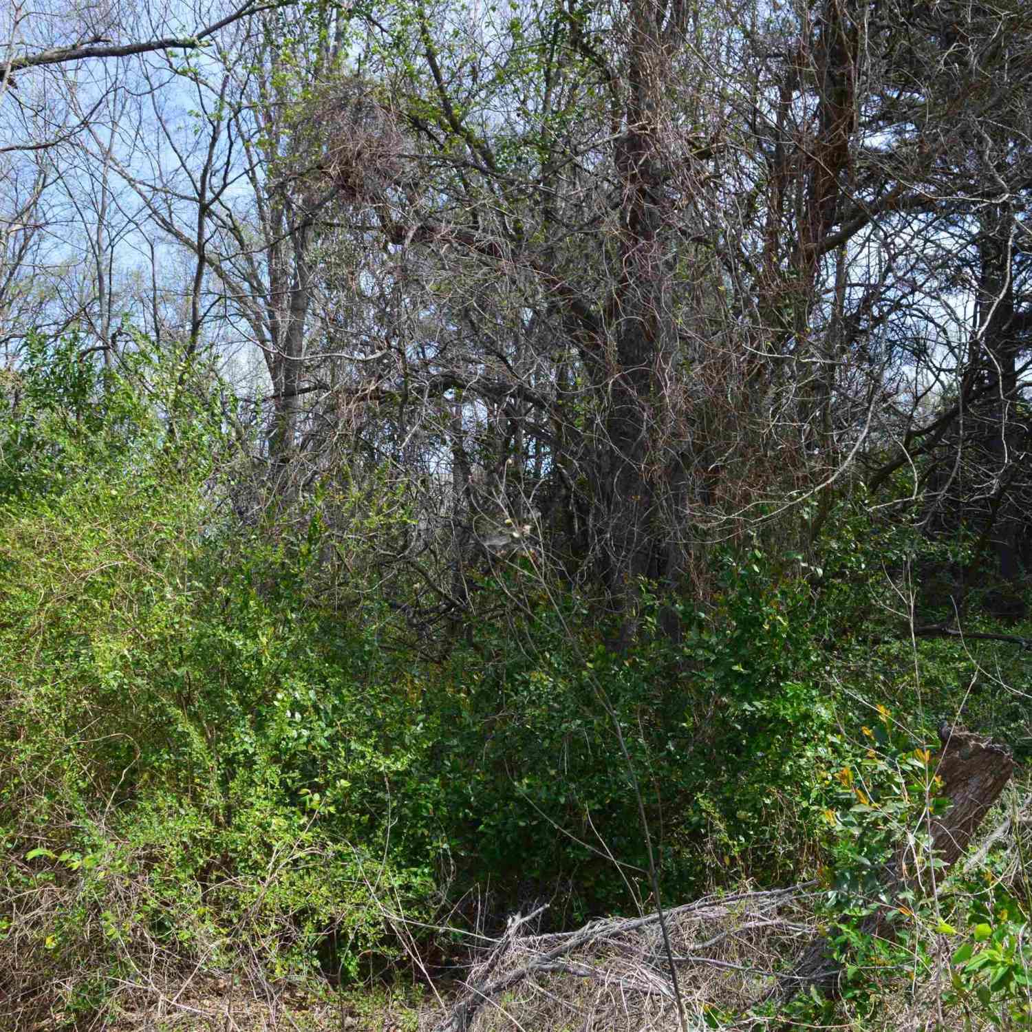 Vacant Land For Sale - 704 Duckenfield Ave<br/> Tyler, TX 75701