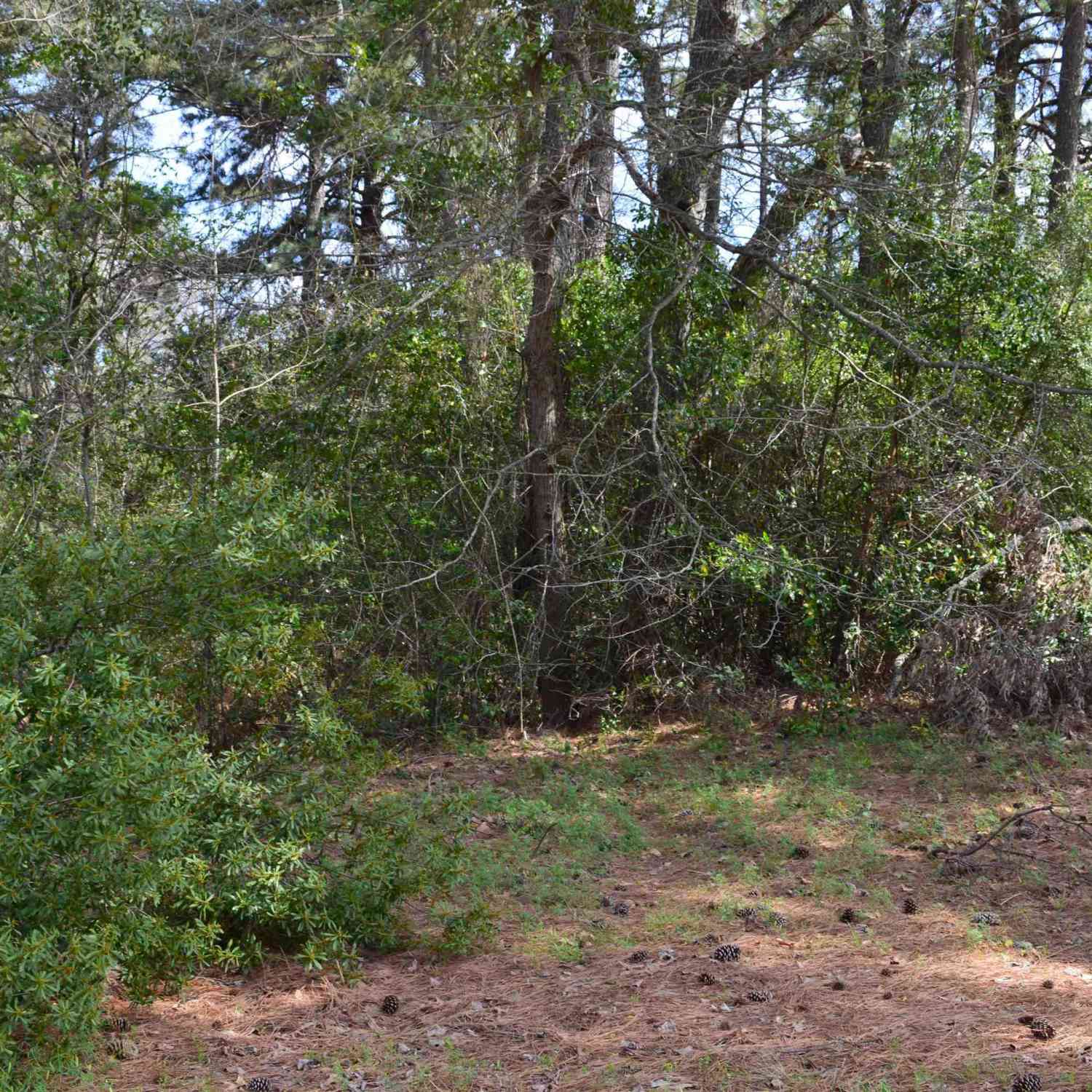 Vacant Land For Sale - 706 Duckenfield Ave<br/> Tyler, TX 75701