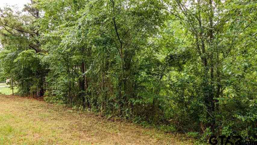 Vacant Land For Sale - LOT 46 Pr 7011<br/> Frankston, TX 75763
