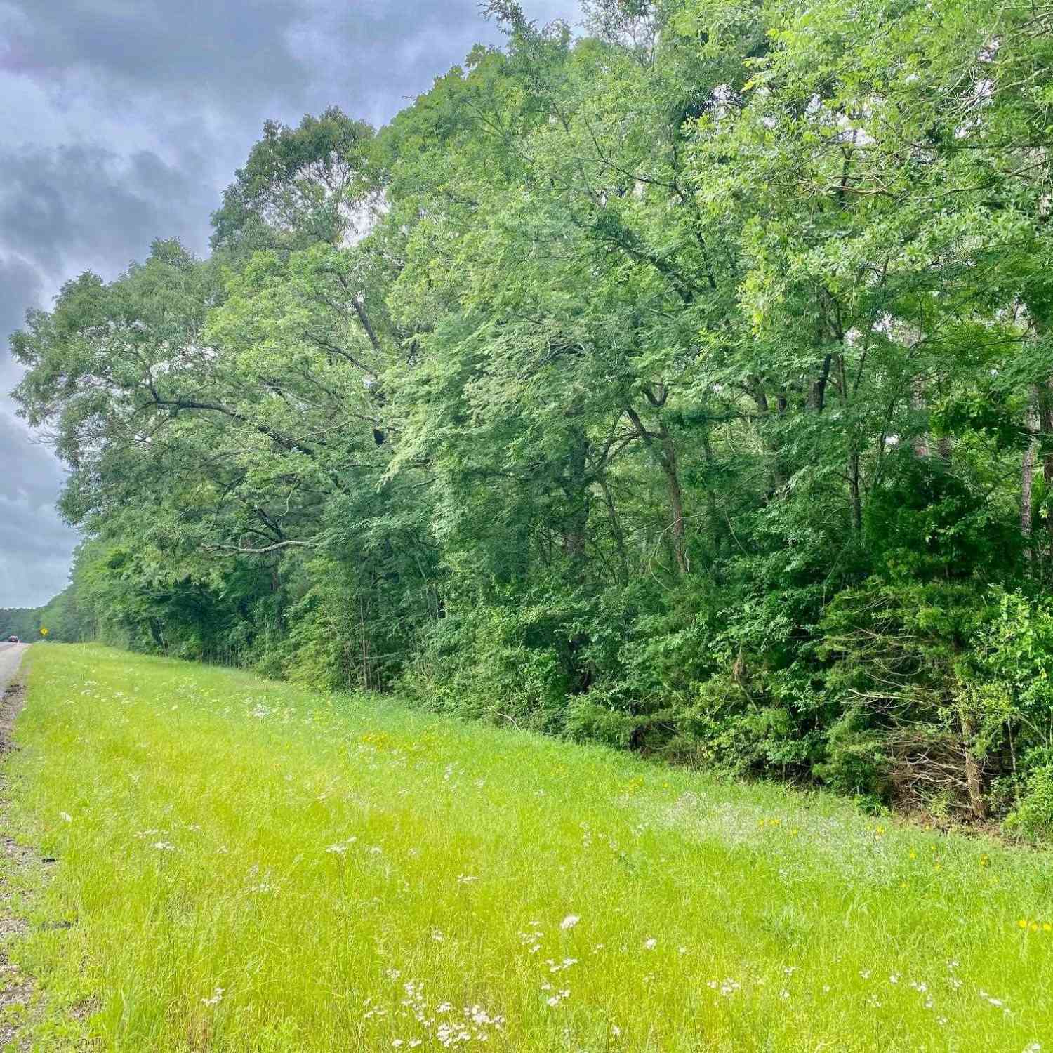 Vacant Land For Sale - S State Highway 19<br/> Elkhart, TX 75839