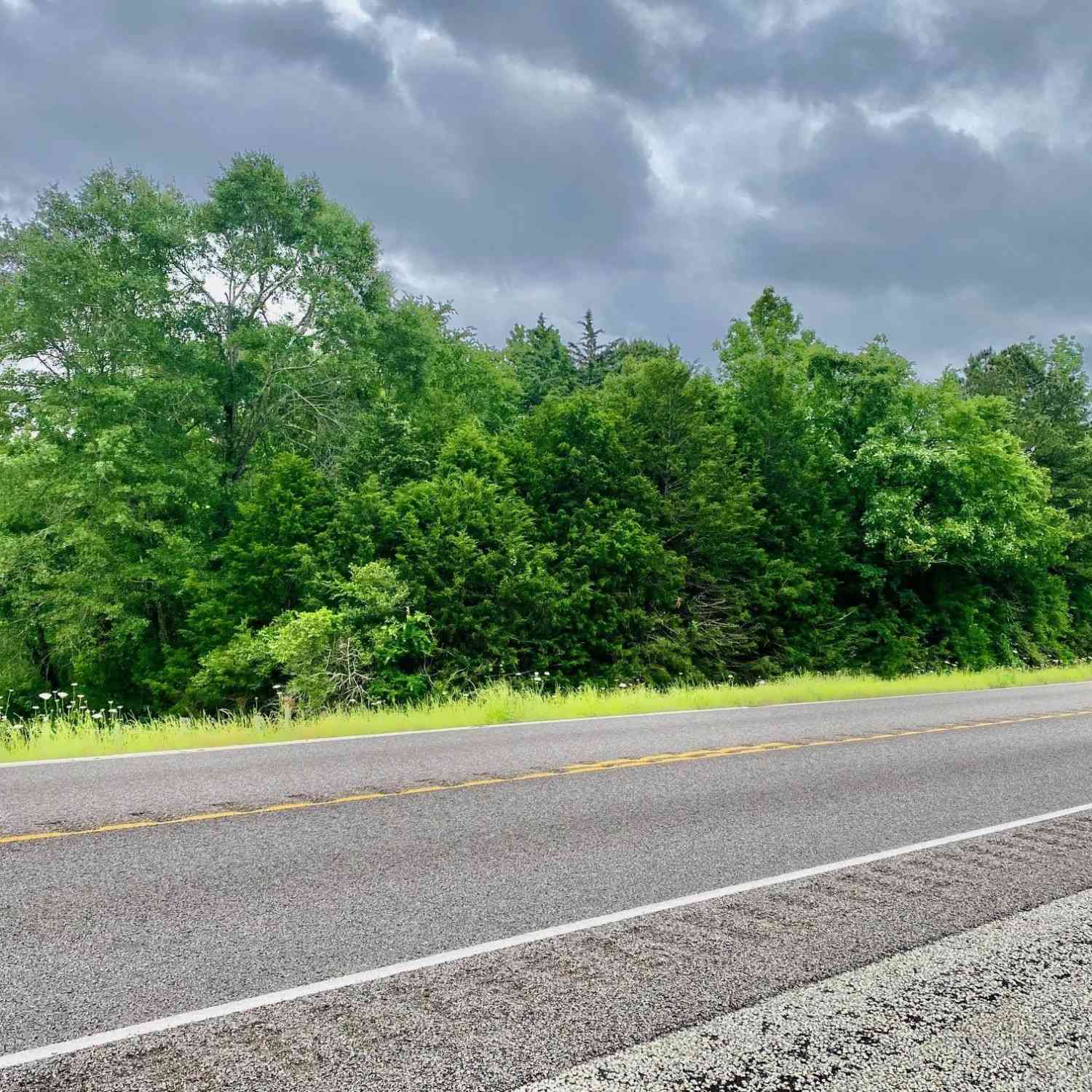 Vacant Land For Sale - S State Highway 19<br/> Elkhart, TX 75839