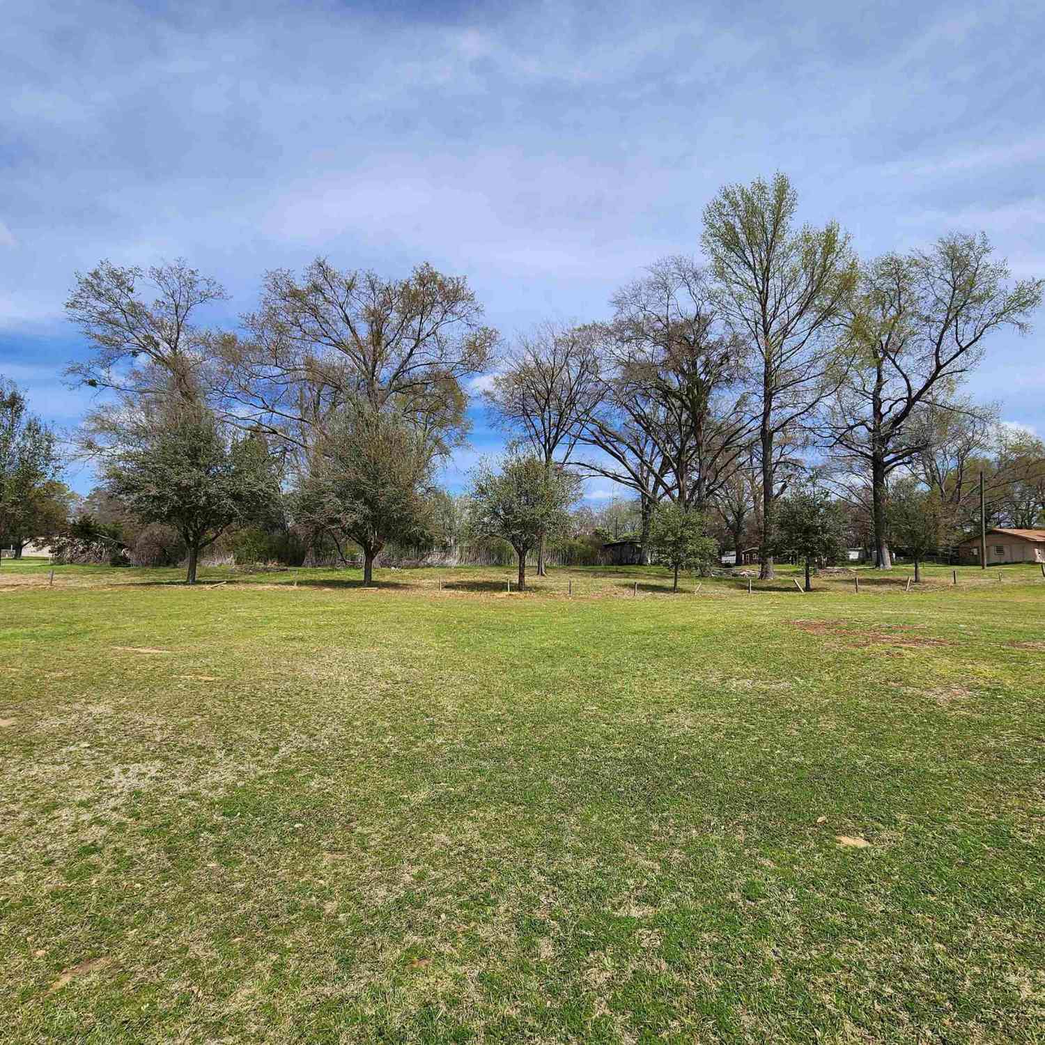 Vacant Land For Sale - 105 Easy St.<br/> Palestine, TX 75801