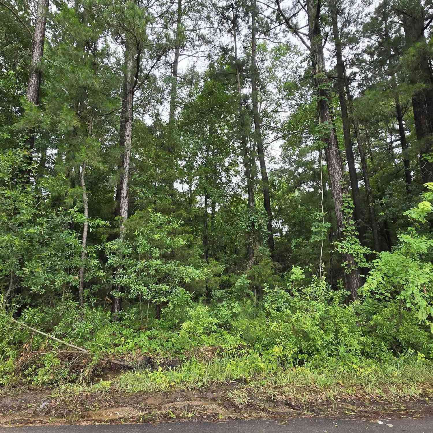 Vacant Land For Sale - 169 Chelsea Ln.<br/> Bullard, TX 75757