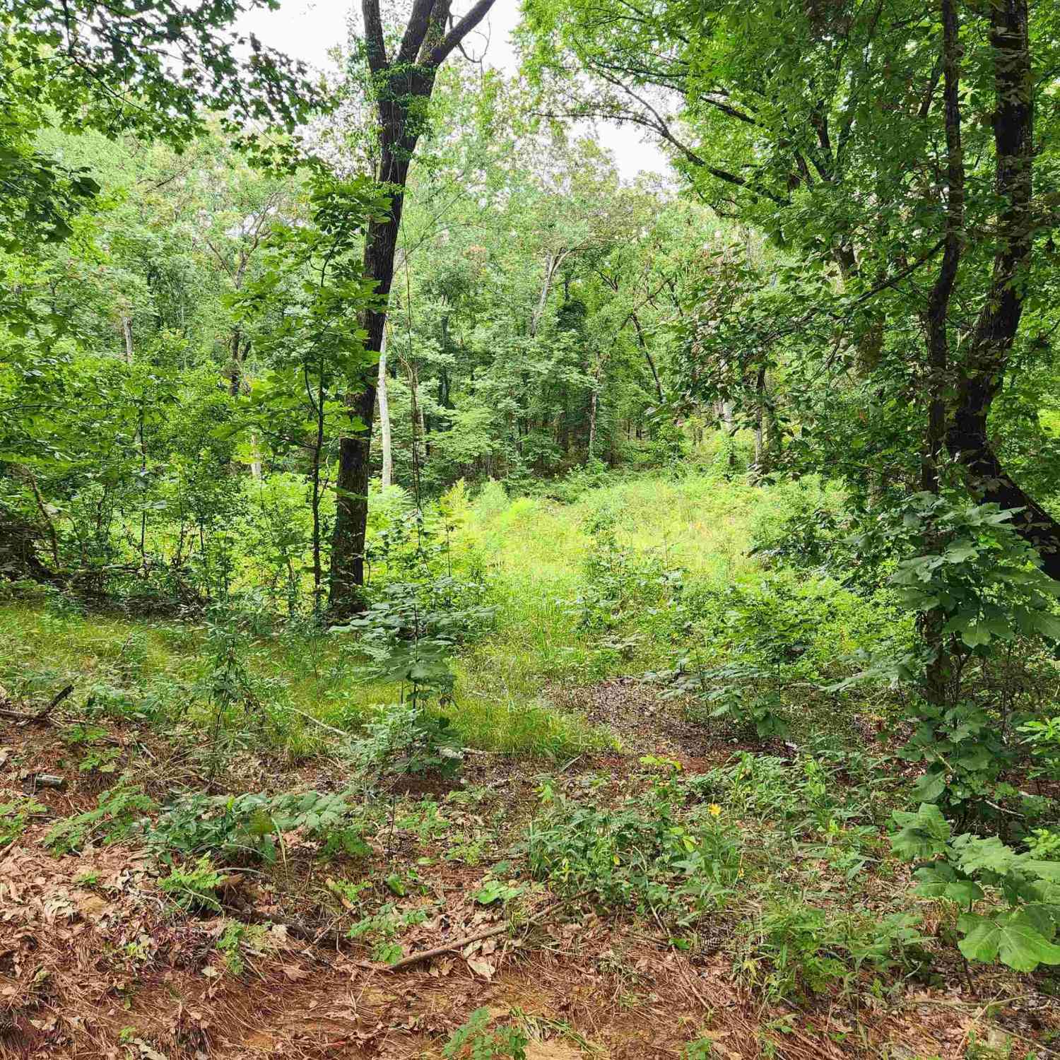 Vacant Land For Sale - LOT 6 Cr 4125<br/> Lindale, TX 75771