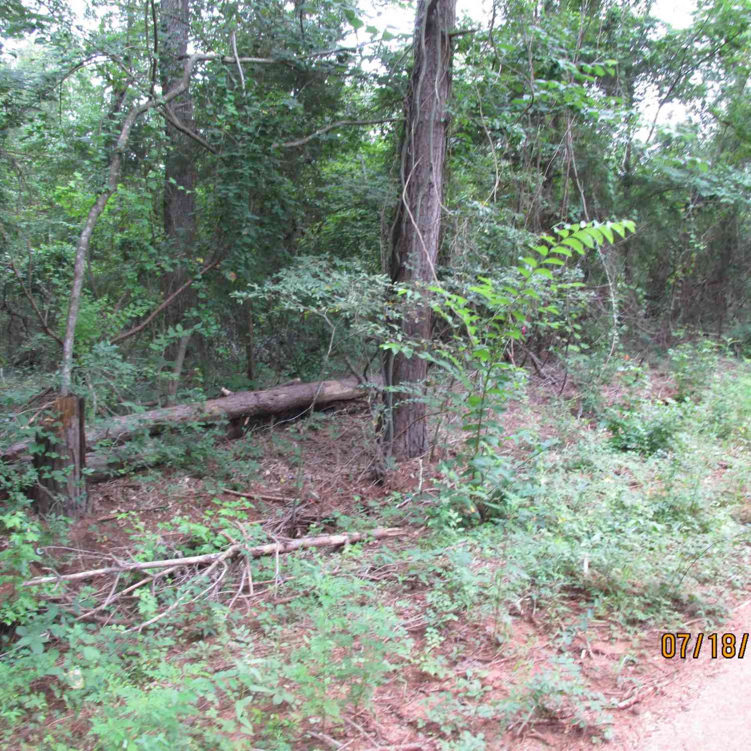 Vacant Land For Sale - 586 Crescent<br/> Bullard, TX 75757