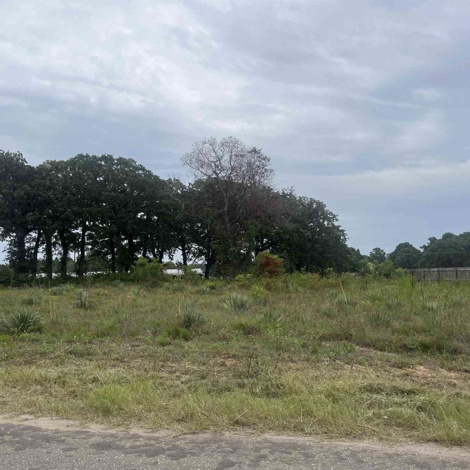 Vacant Land For Sale - 14914 C R 424<br/> Lindale, TX 75771