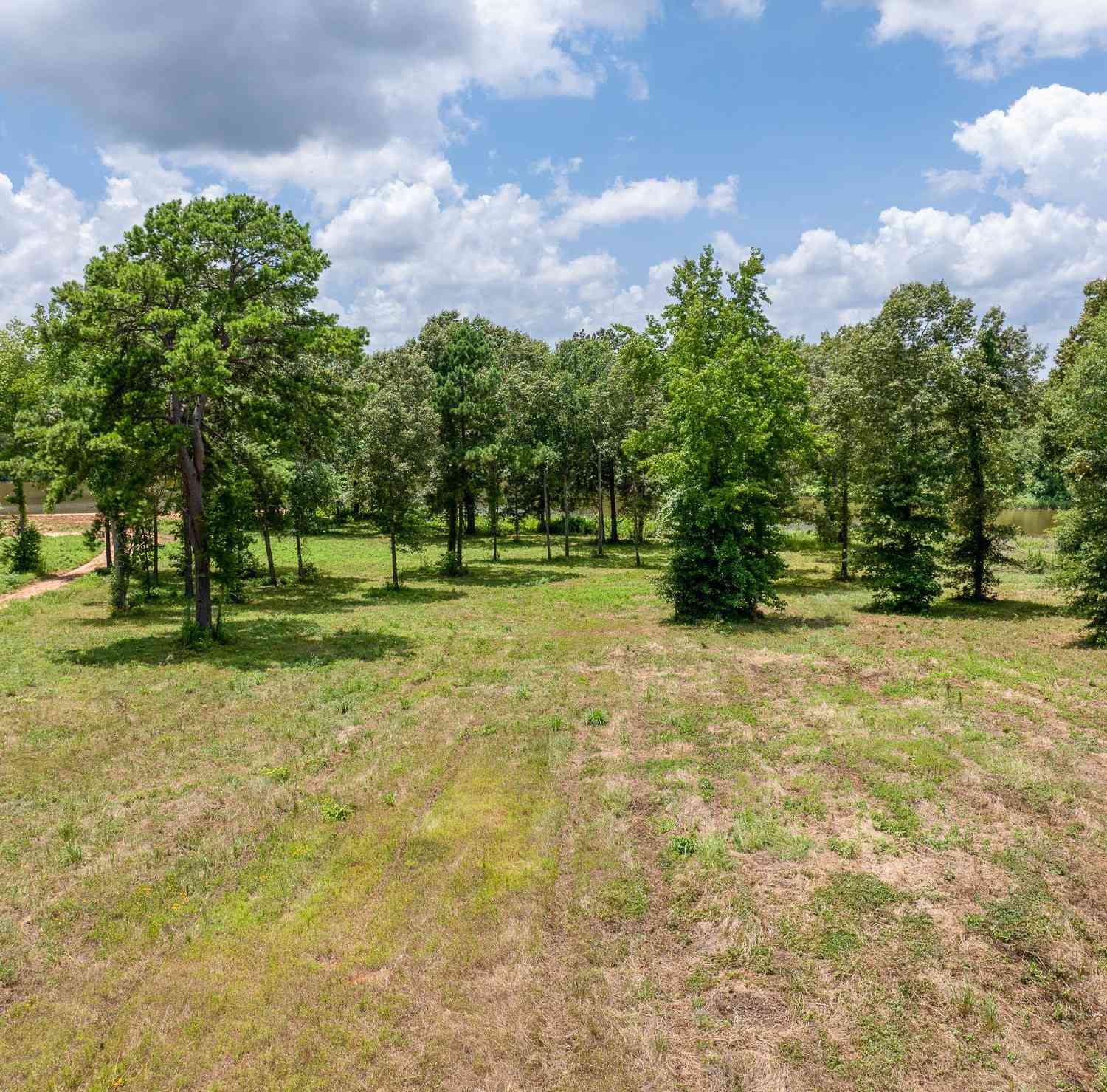 Vacant Land For Sale - 765 Stone Chimney Rd. (lot 2 Cr 3608)<br/> Cherokee County, Bullard, TX 75757