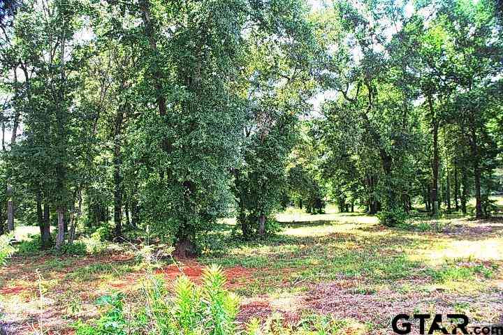 Vacant Land For Sale - 815 Stone Chimney Rd. (lot 5 Cr 3608)<br/> Bullard, TX 75757