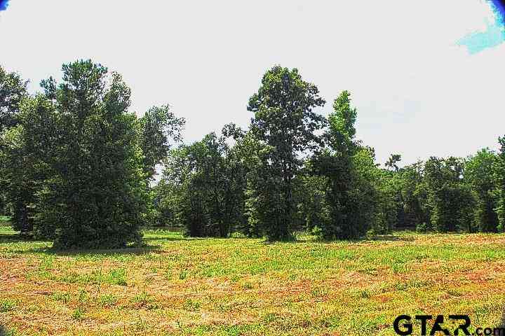 Vacant Land For Sale - 865 Stone Chimney Rd. (lot 7 Cr 3608)<br/> Bullard, TX 75757