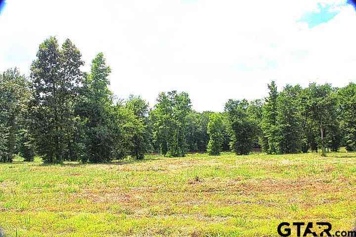 Vacant Land For Sale - 885 Stone Chimney Rd. (lot 8 Cr 3608)<br/> Bullard, TX 75757
