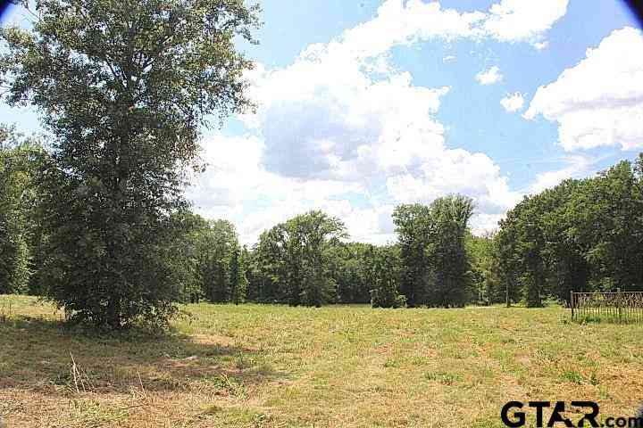 Vacant Land For Sale - 915 Stone Chimney Rd. (lot 9 Cr 3608)<br/> Bullard, TX 75757
