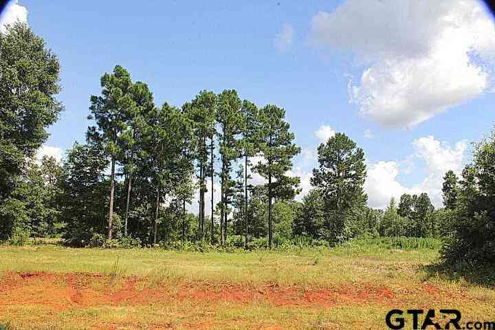 Vacant Land For Sale - 900 Stone Chimney Rd. (lot 20 Cr 3608)<br/> Bullard, TX 75757