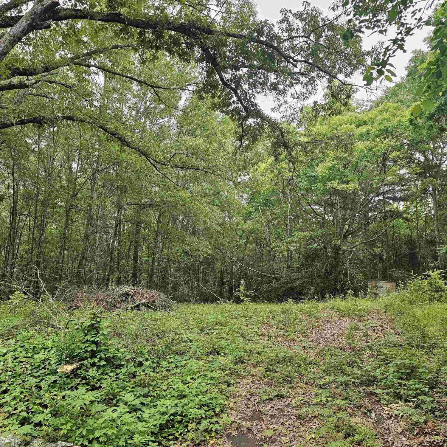 Vacant Land For Sale - 125 Jenkins St<br/> Rusk County, Henderson, TX 75654