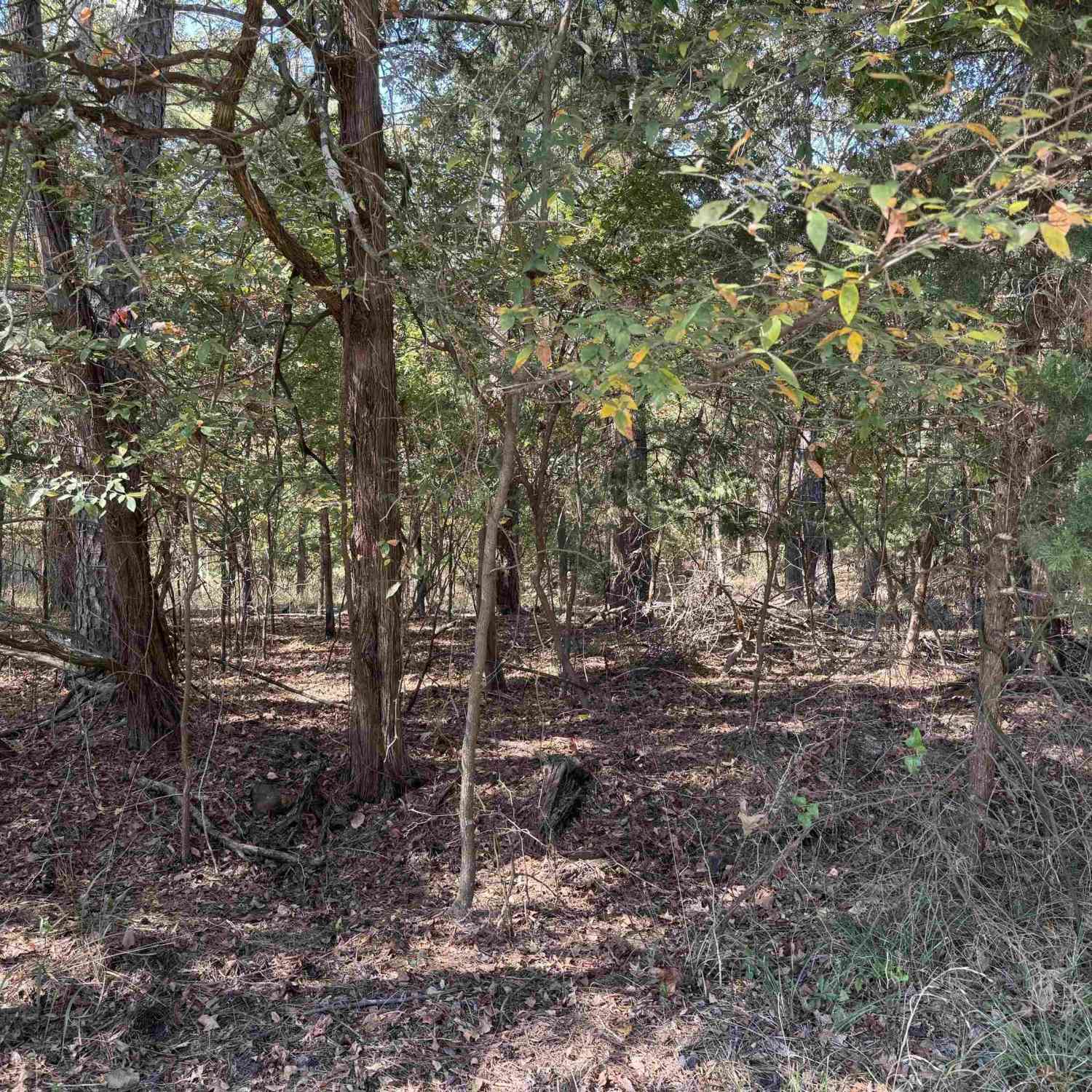 Vacant Land For Sale - LOT 69 Kings Lake<br/> Scroggins, TX 75480