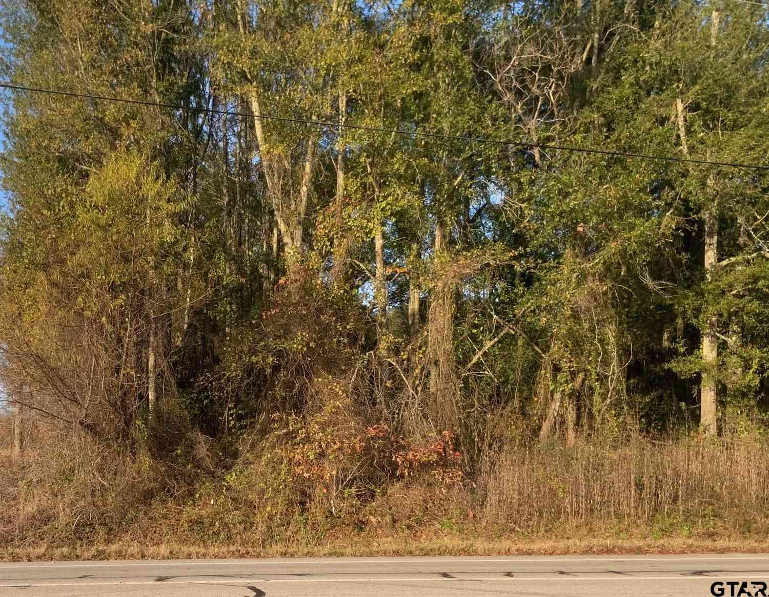 Vacant Land For Sale - 6313 Rhones Quarter Rd.<br/> Tyler, TX 75707