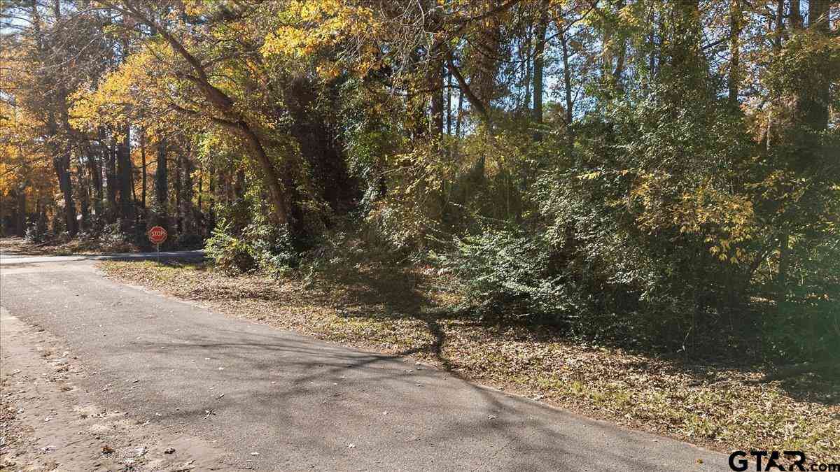 Vacant Land For Sale - 736 Jason Dr<br/> Bullard, TX 75757