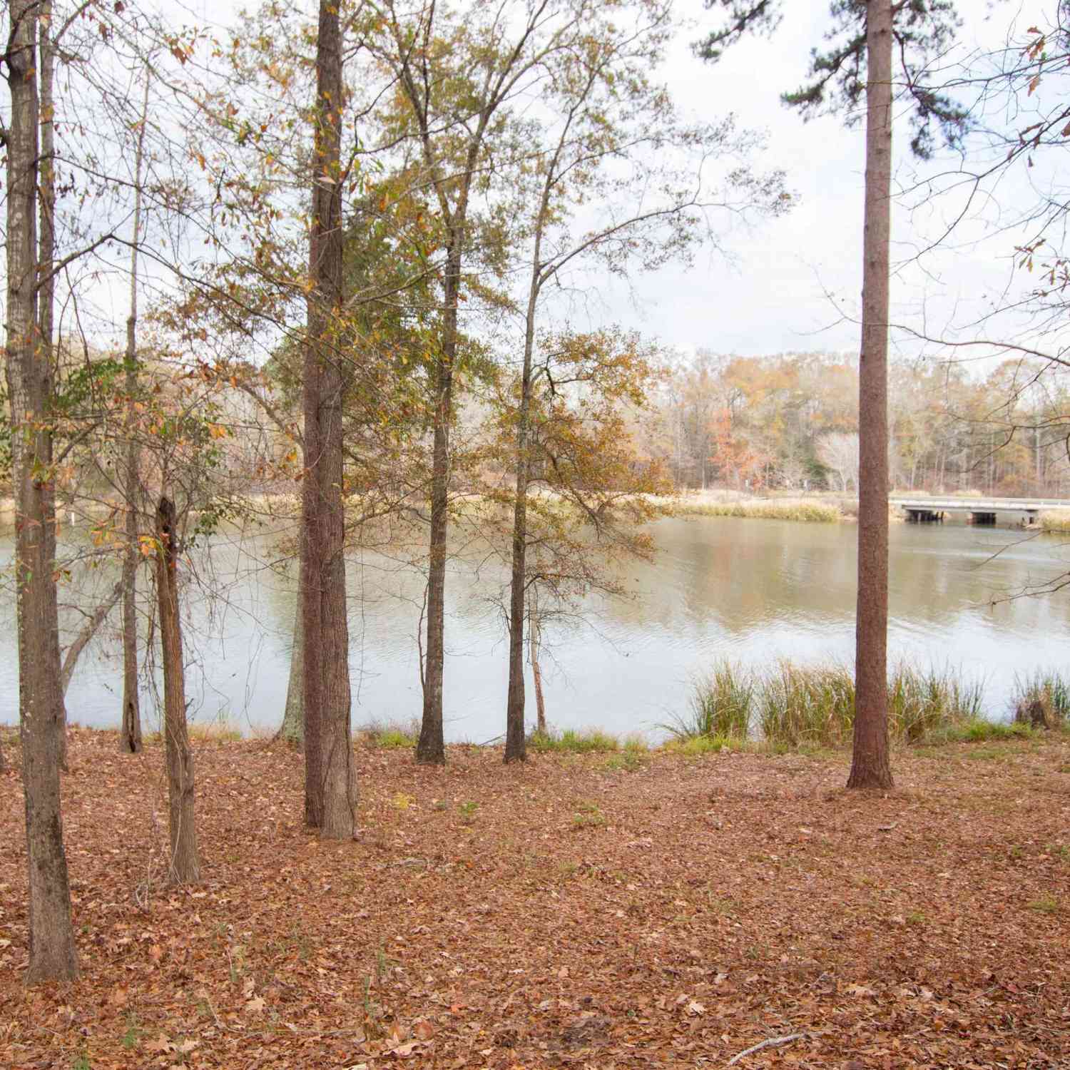 Vacant Land For Sale - 17931 Gordons Landing<br/> Arp, TX 75750