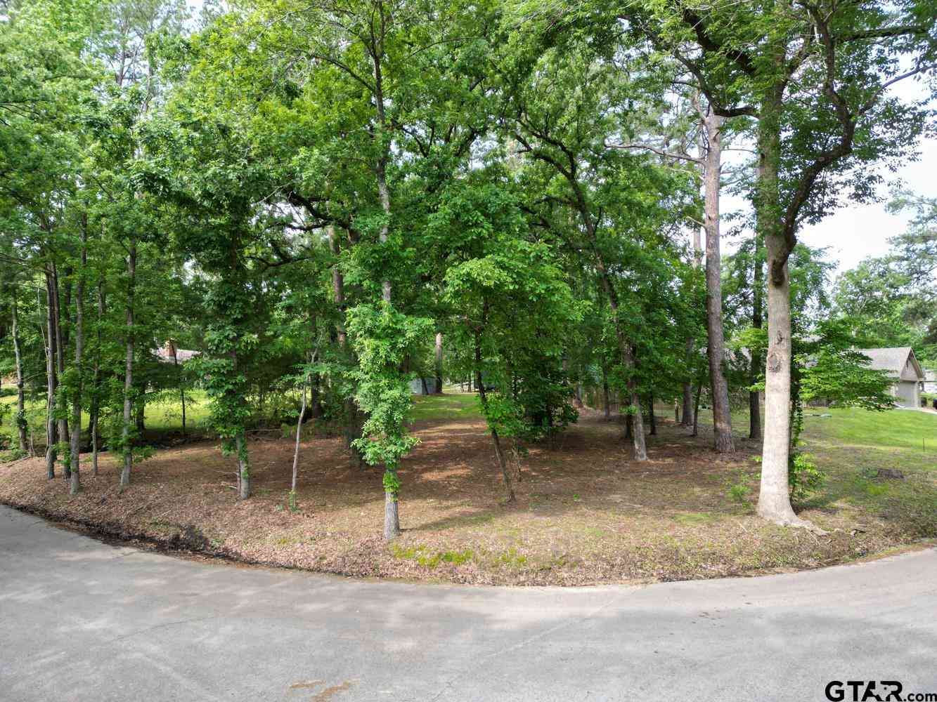Vacant Land For Sale - 23628 Cove Park Dr.<br/> Bullard, TX 75757