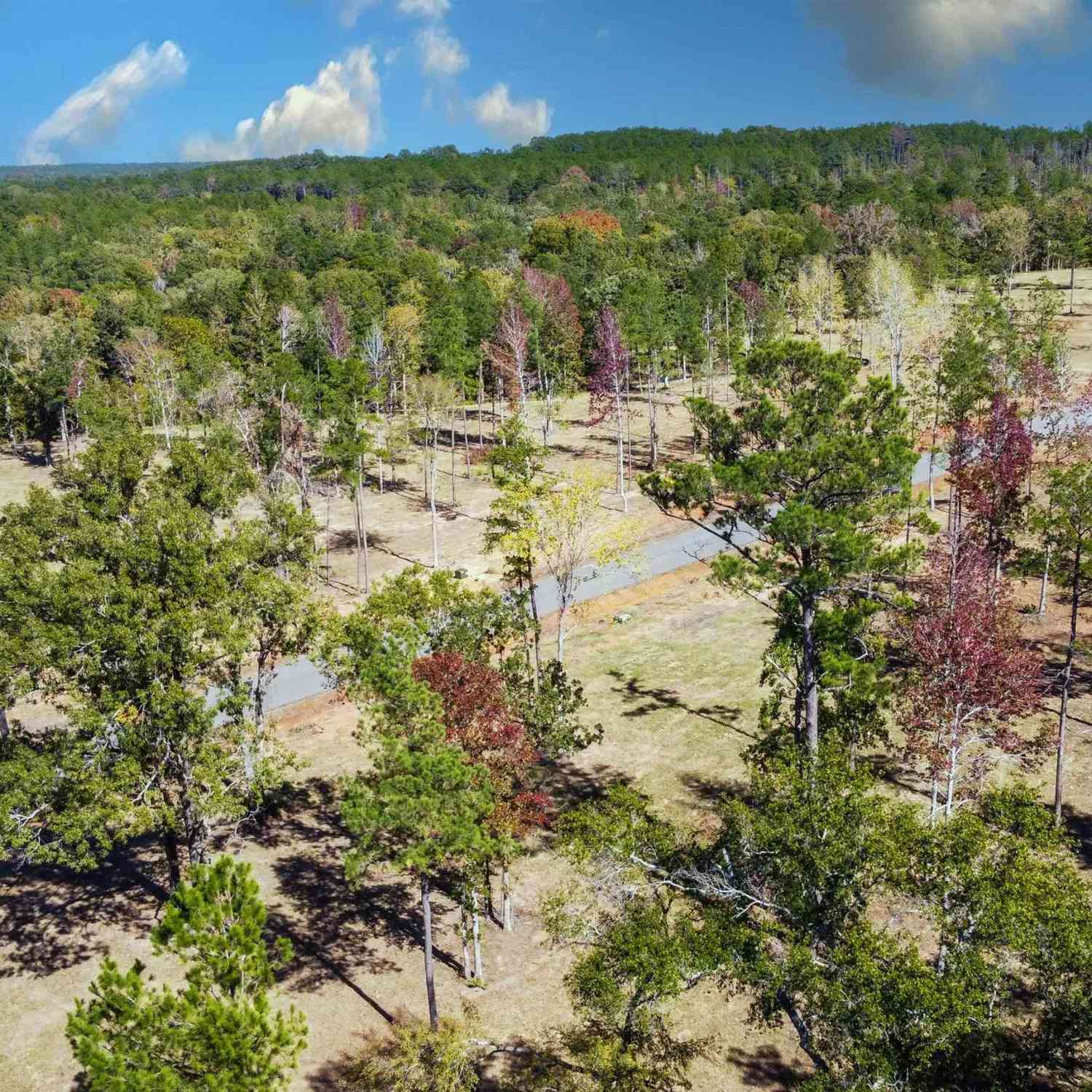 Vacant Land For Sale - 15537 Aniston Ln - (lot 2)<br/> Flint, TX 75762