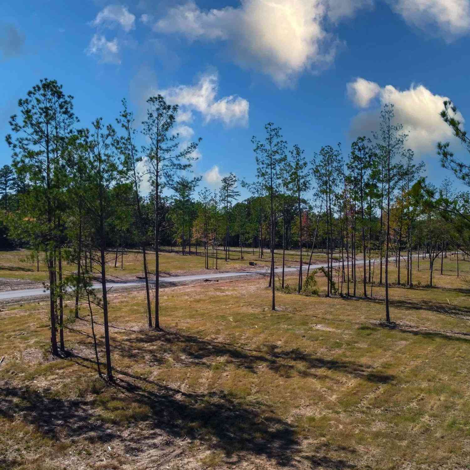 Vacant Land For Sale - 15639 Aniston Ln - (lot 4)<br/> Flint, TX 75762