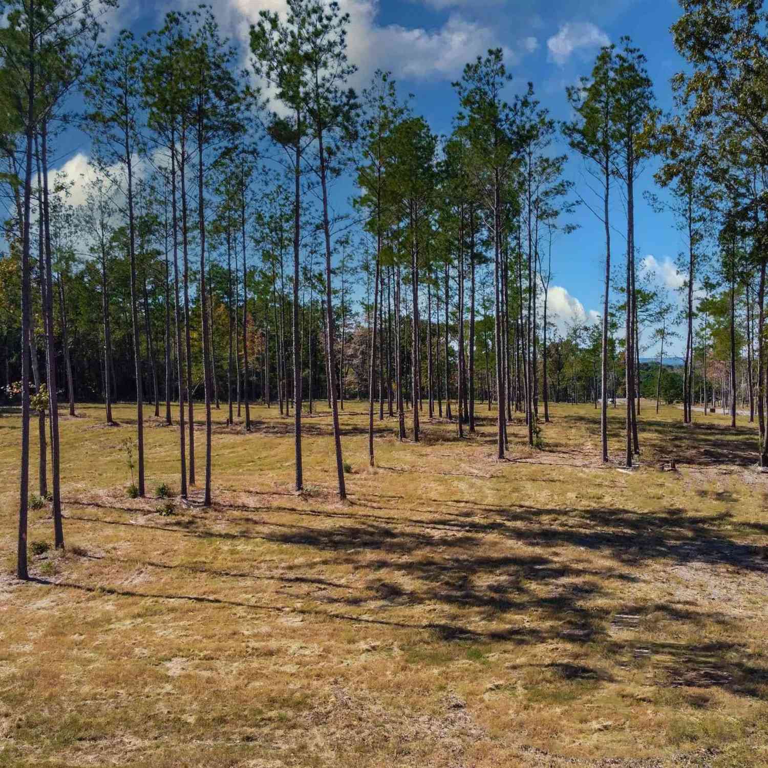 Vacant Land For Sale - 15922 Aniston Ln - (lot 20)<br/> Flint, TX 75762