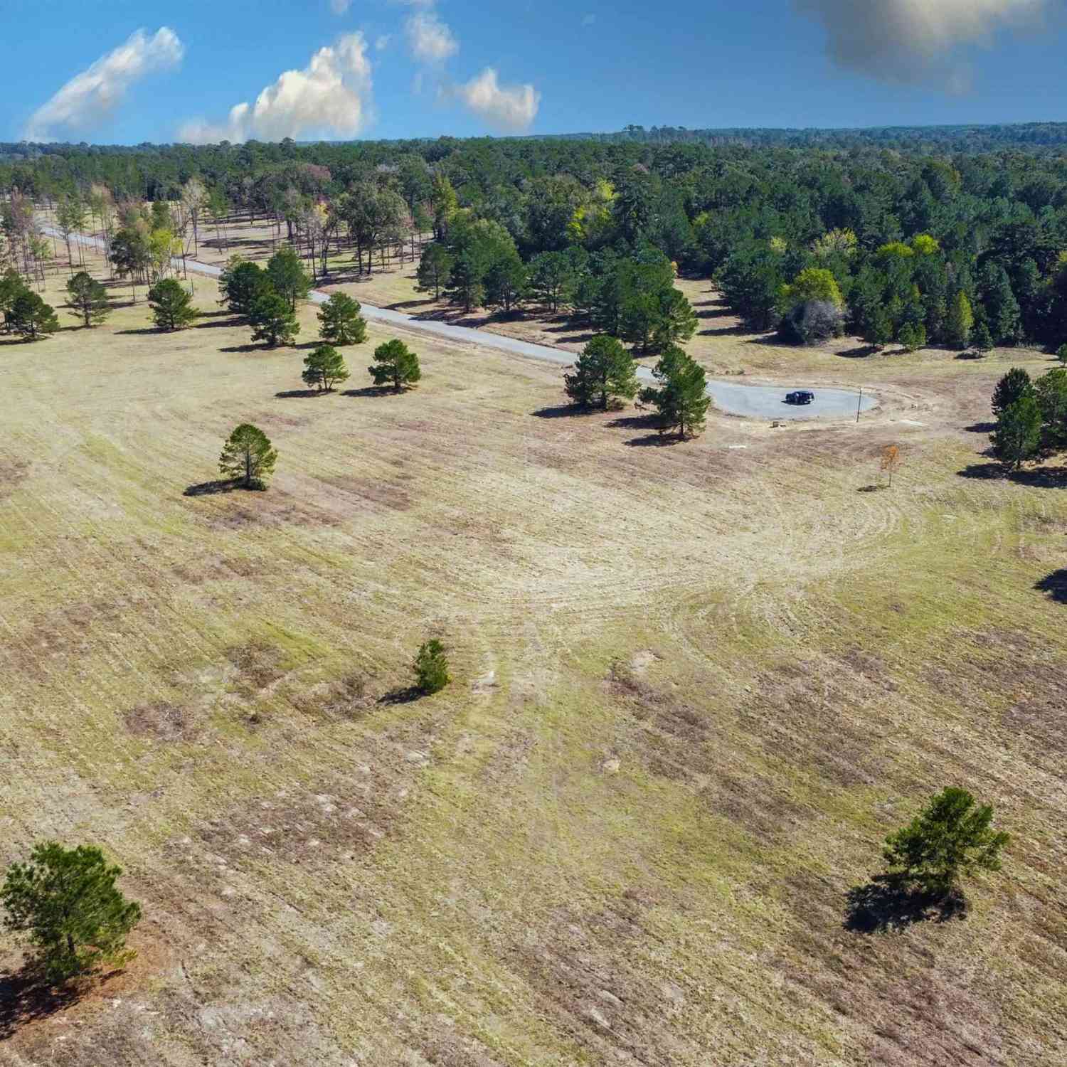 Vacant Land For Sale - 15868 Aniston Ln - (lot 21)<br/> Flint, TX 75762