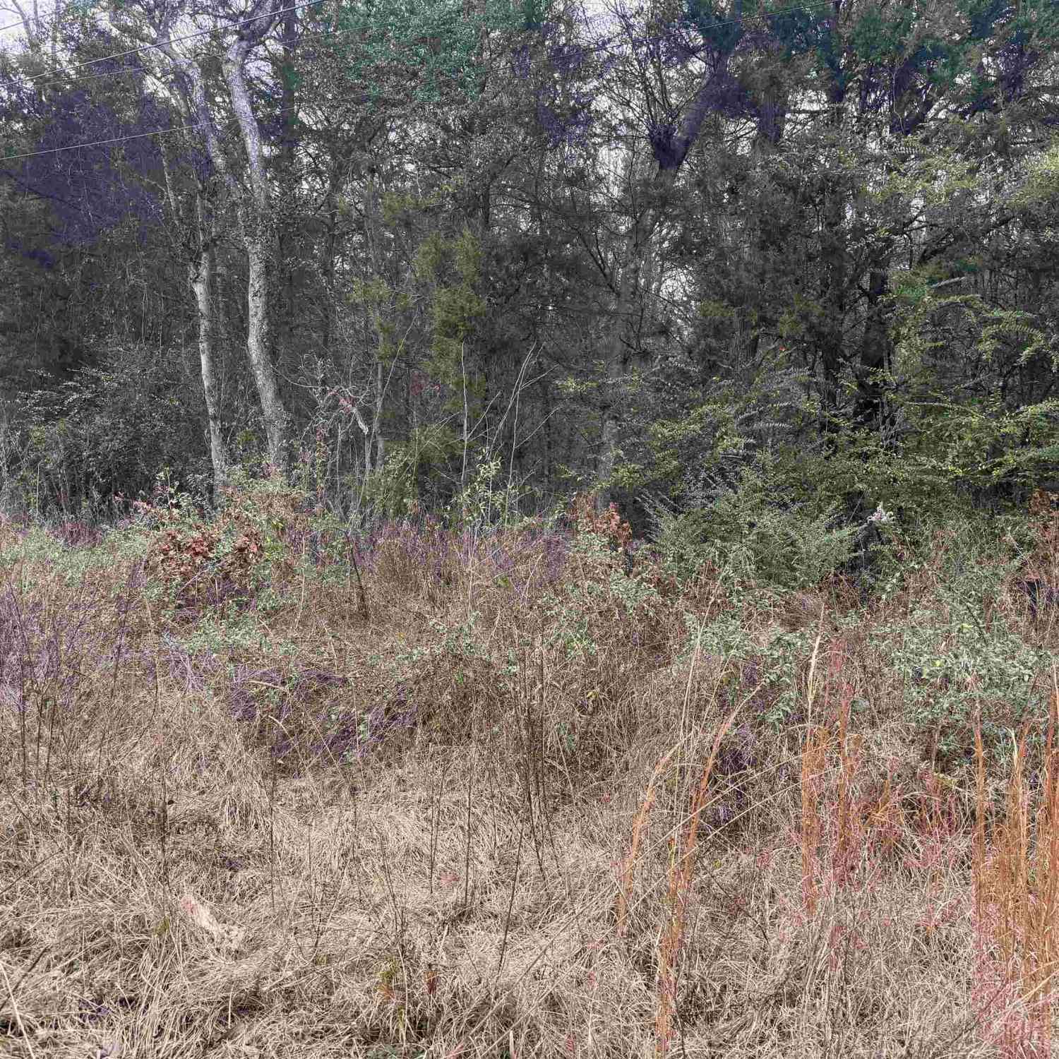Vacant Land For Sale - 1150 Brazos<br/> Bullard, TX 75757