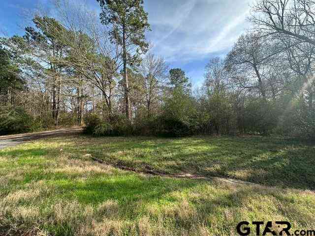 Vacant Land For Sale - TBD Cr 286<br/> Garrison, TX 75946