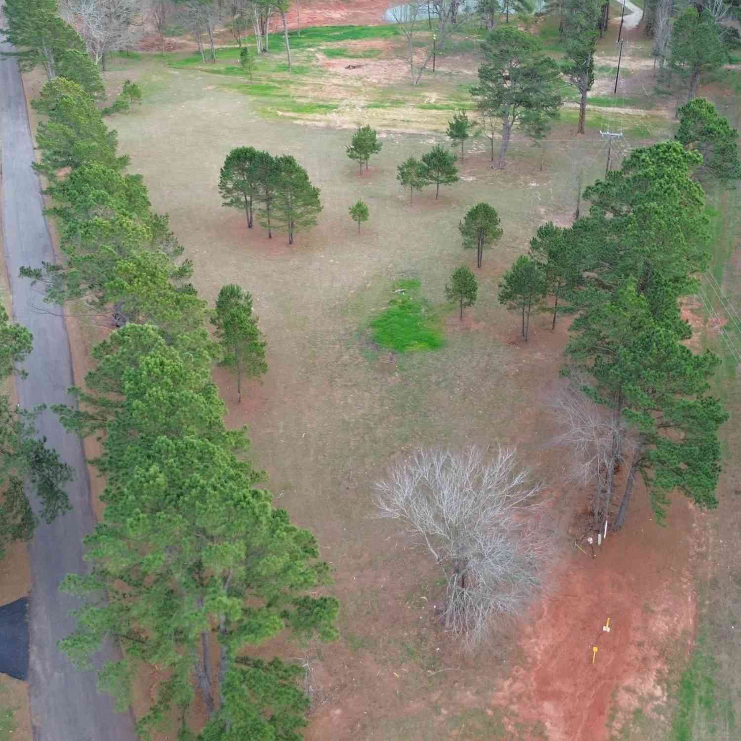 Vacant Land For Sale - TRACT 3 000 Cr 3806<br/> Bullard, TX 75757
