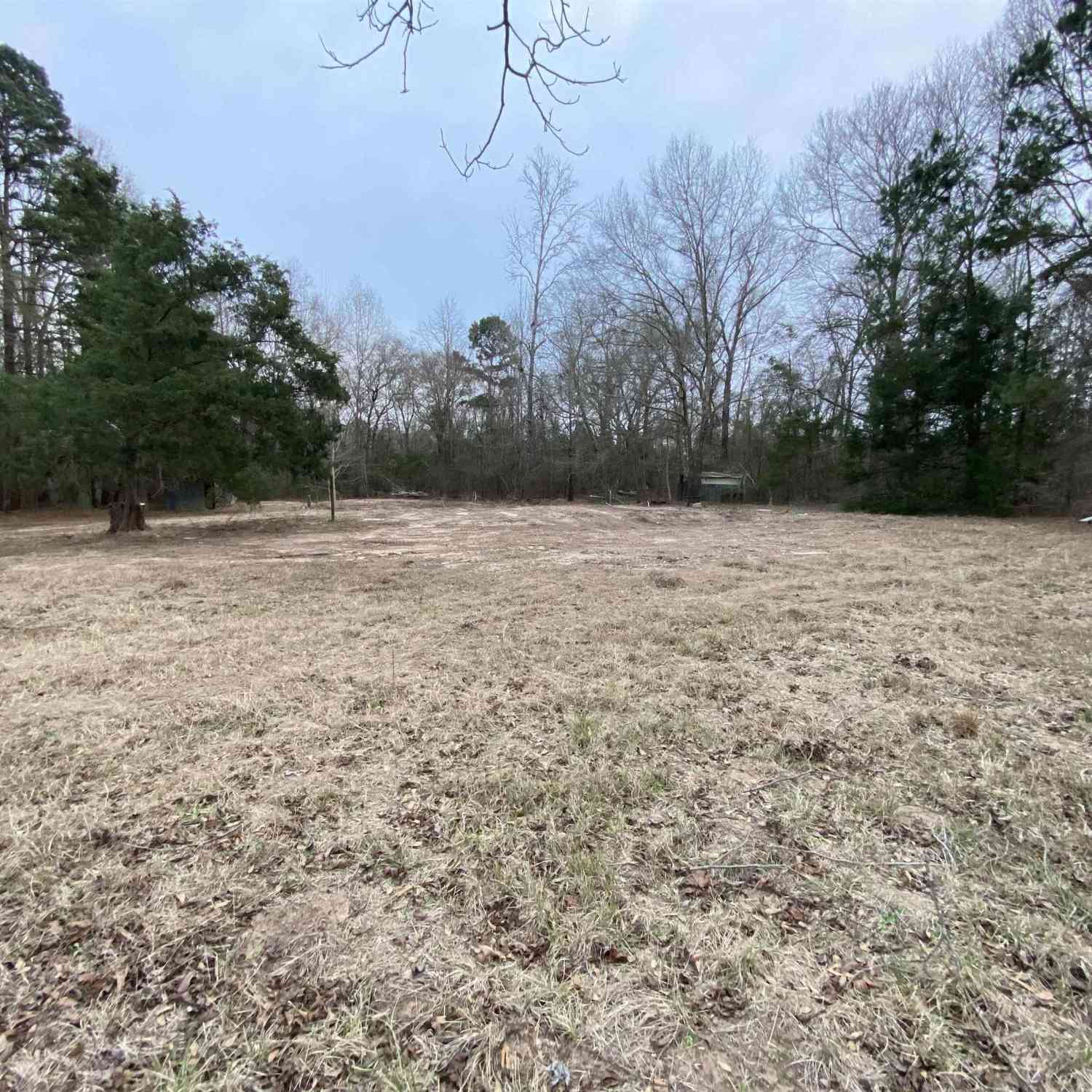 Vacant Land For Sale - 11684 LOT1 Cr 338<br/> Lindale, TX 75771