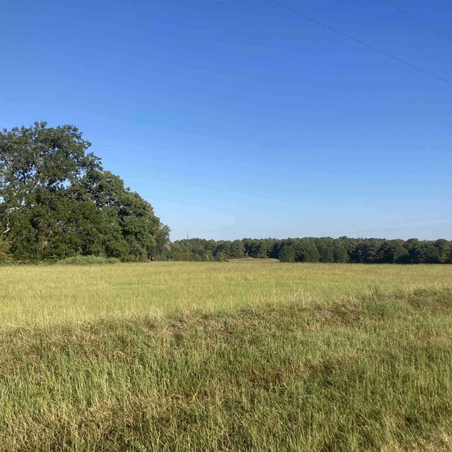 Vacant Land For Sale - 15178 Cr 1100<br/> Tyler, TX 75703