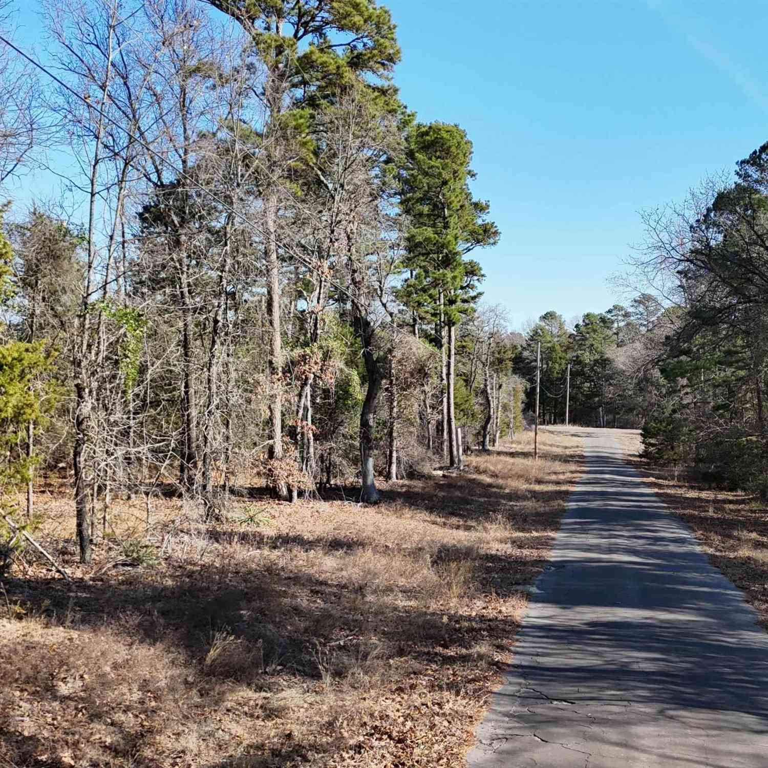 Homes For Sale - TBD King Harry Ct<br/> Scroggins, TX 75480
