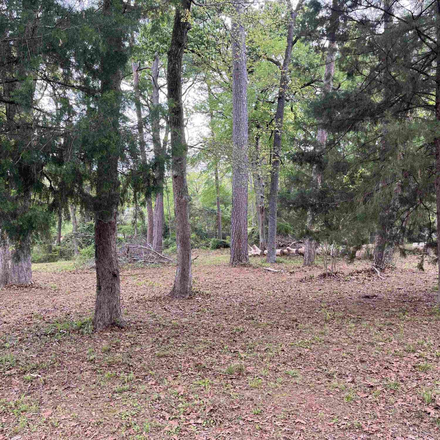 Homes For Sale - LOT 5 Lakeview Dr.<br/> Bullard, TX 75757