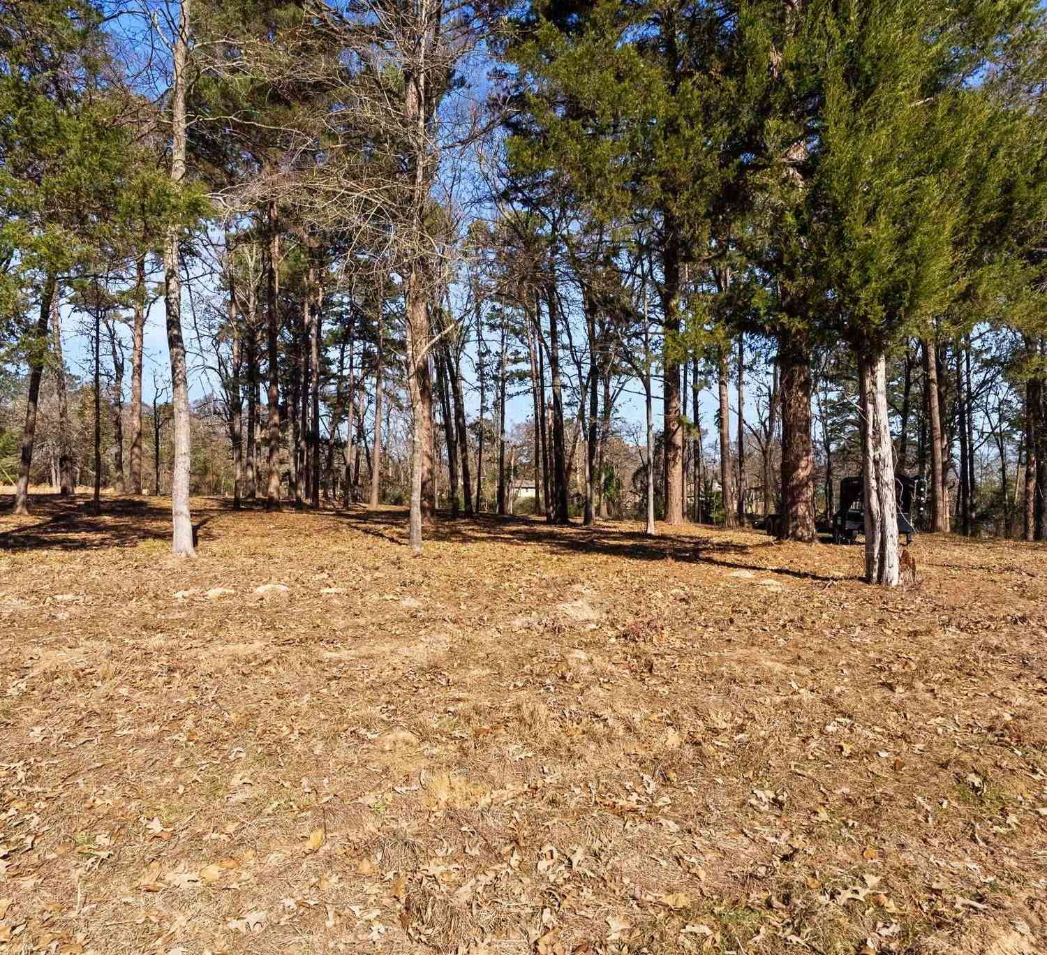 Homes For Sale - TBD Wilson Rd. (lot 41)<br/> Tyler, TX 75707