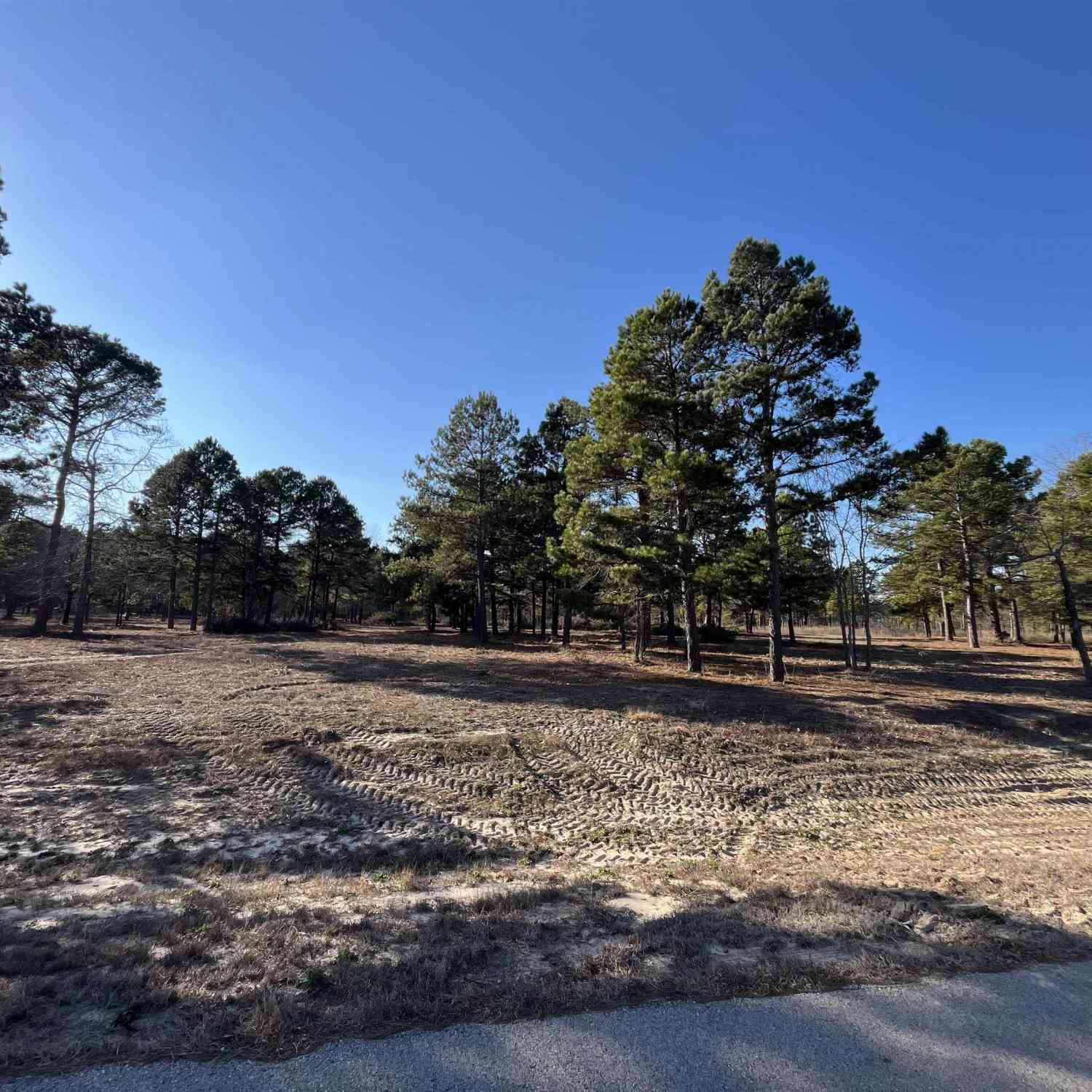 Homes For Sale - 3135 Shadow Pine Drive<br/> LaRue, TX 75770