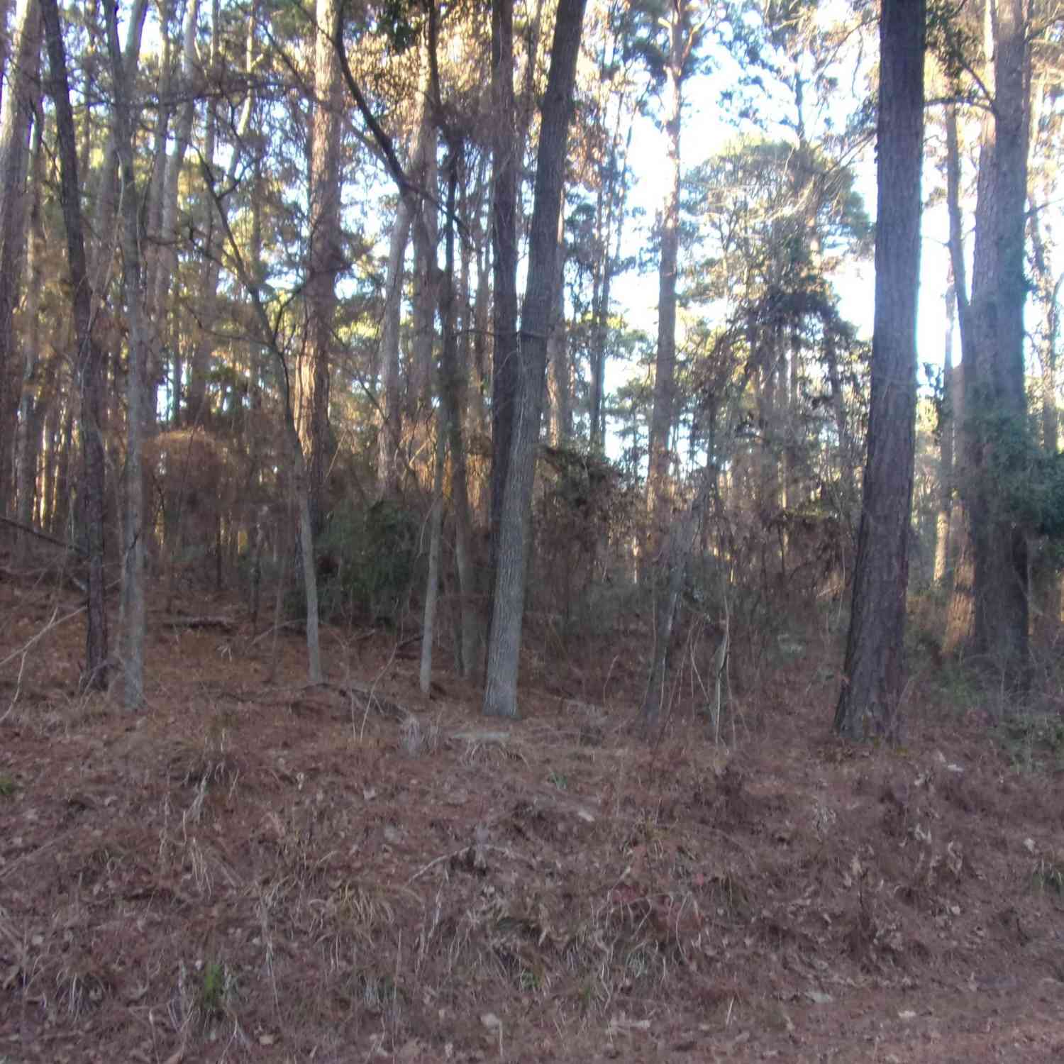 Homes For Sale - TBD Lake Side Drive<br/> Flint, TX 75762