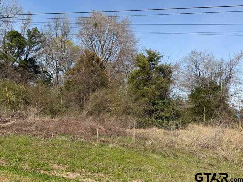 Homes For Sale - 499 Crockett St<br/> Bullard, TX 75757