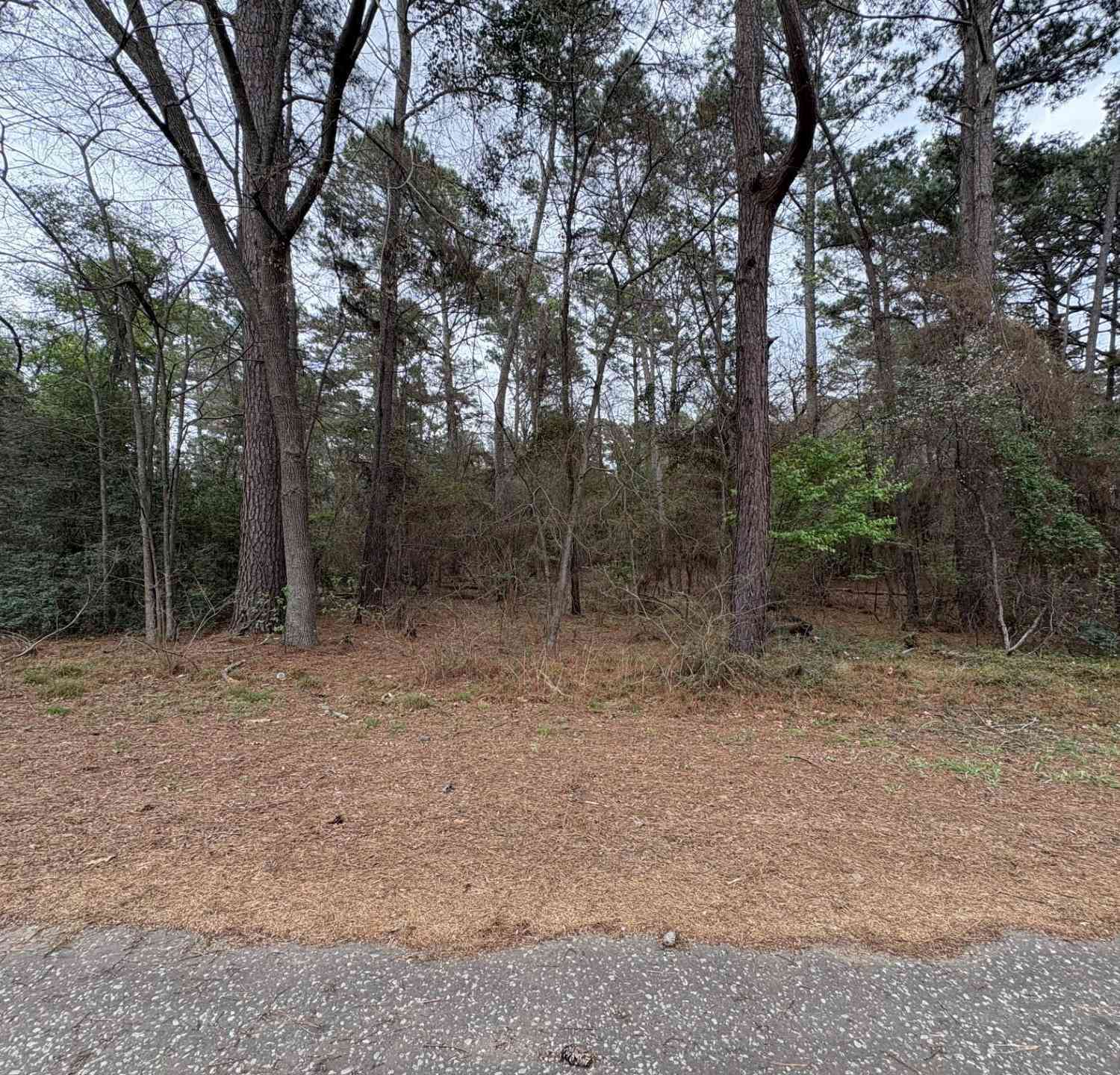 Homes For Sale - 142 Timber Bluff Rd<br/> Bullard, TX 75757