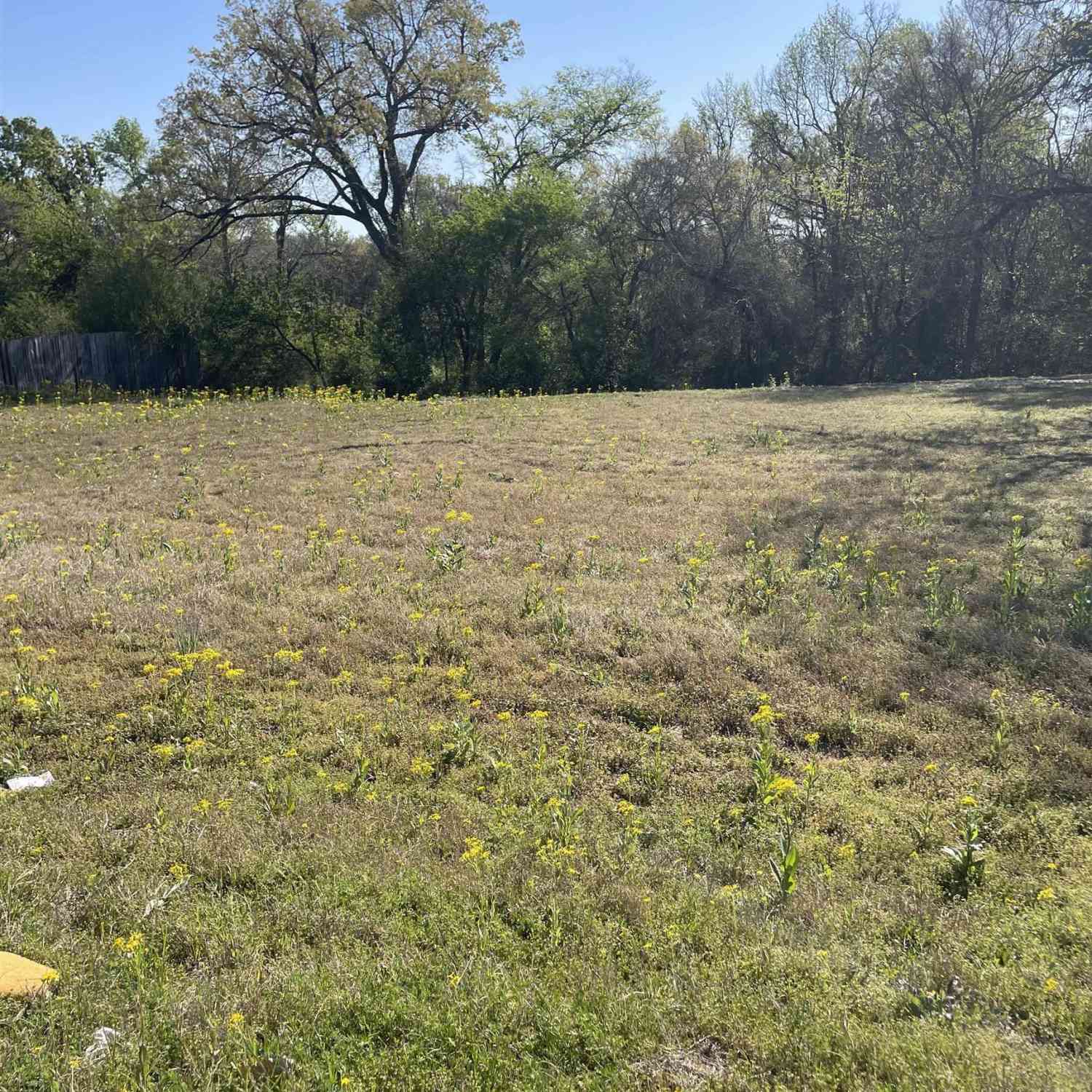 Homes For Sale - TBD N Main St<br/> Winnsboro, TX 75494