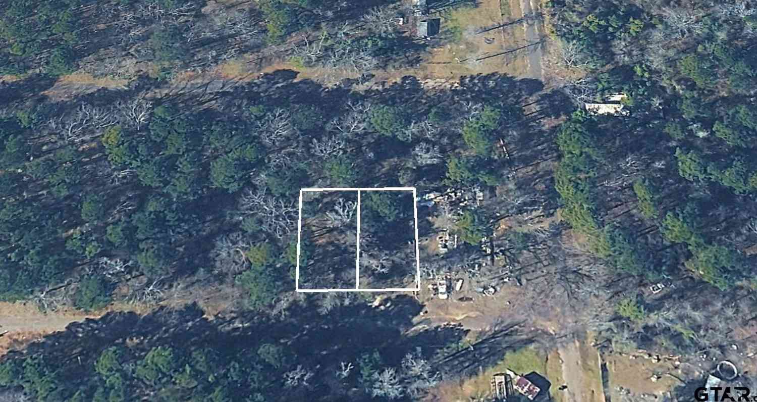 Homes For Sale - Bois Arc Avenue<br/> Jefferson, TX 75657