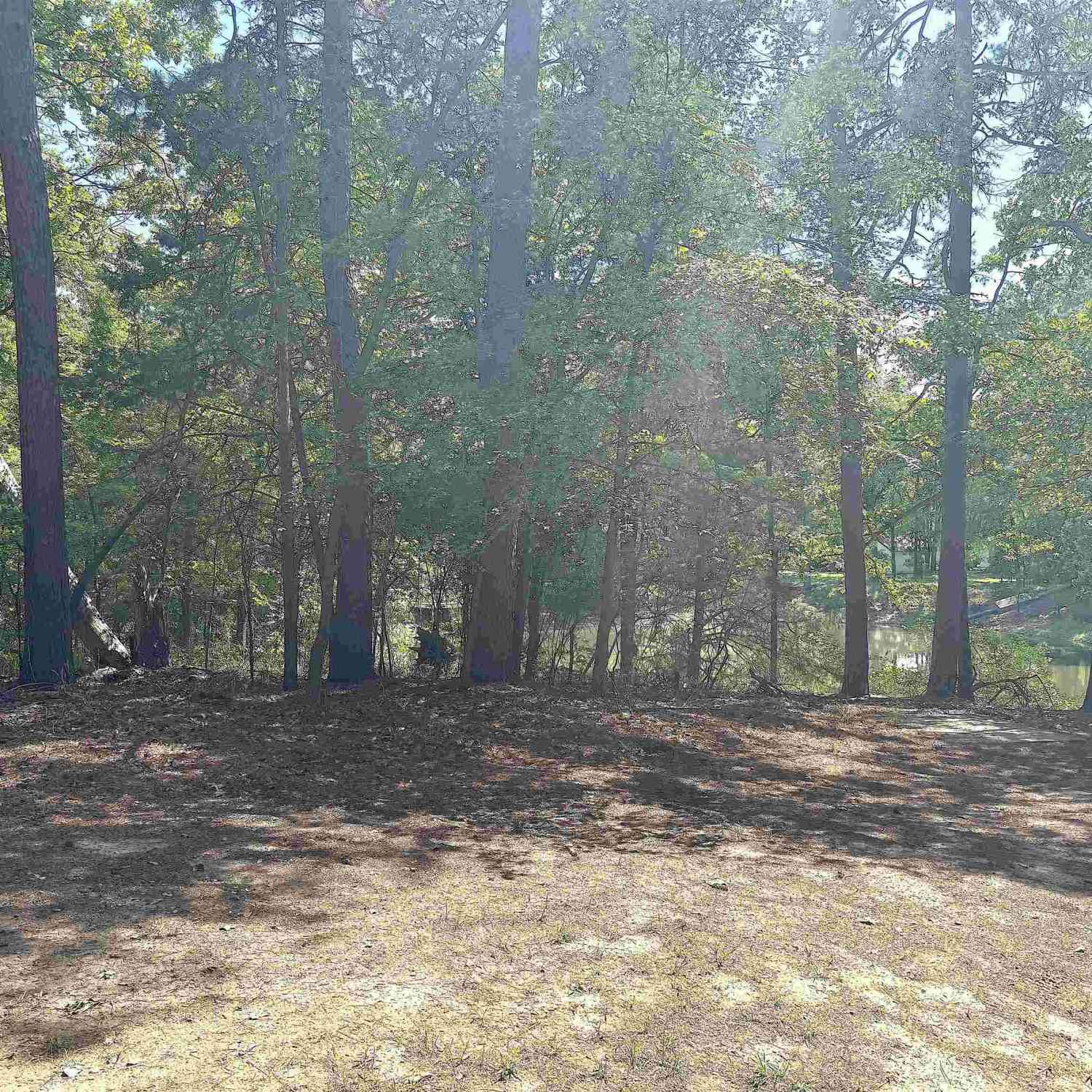 Homes For Sale - LOT 45 Cypress Creek Dr<br/> Mt Vernon, TX 75457