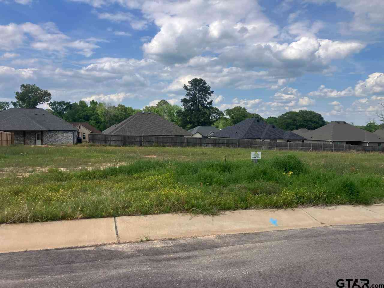 Homes For Sale - 205 Toro Drive<br/> Winona, TX 75792