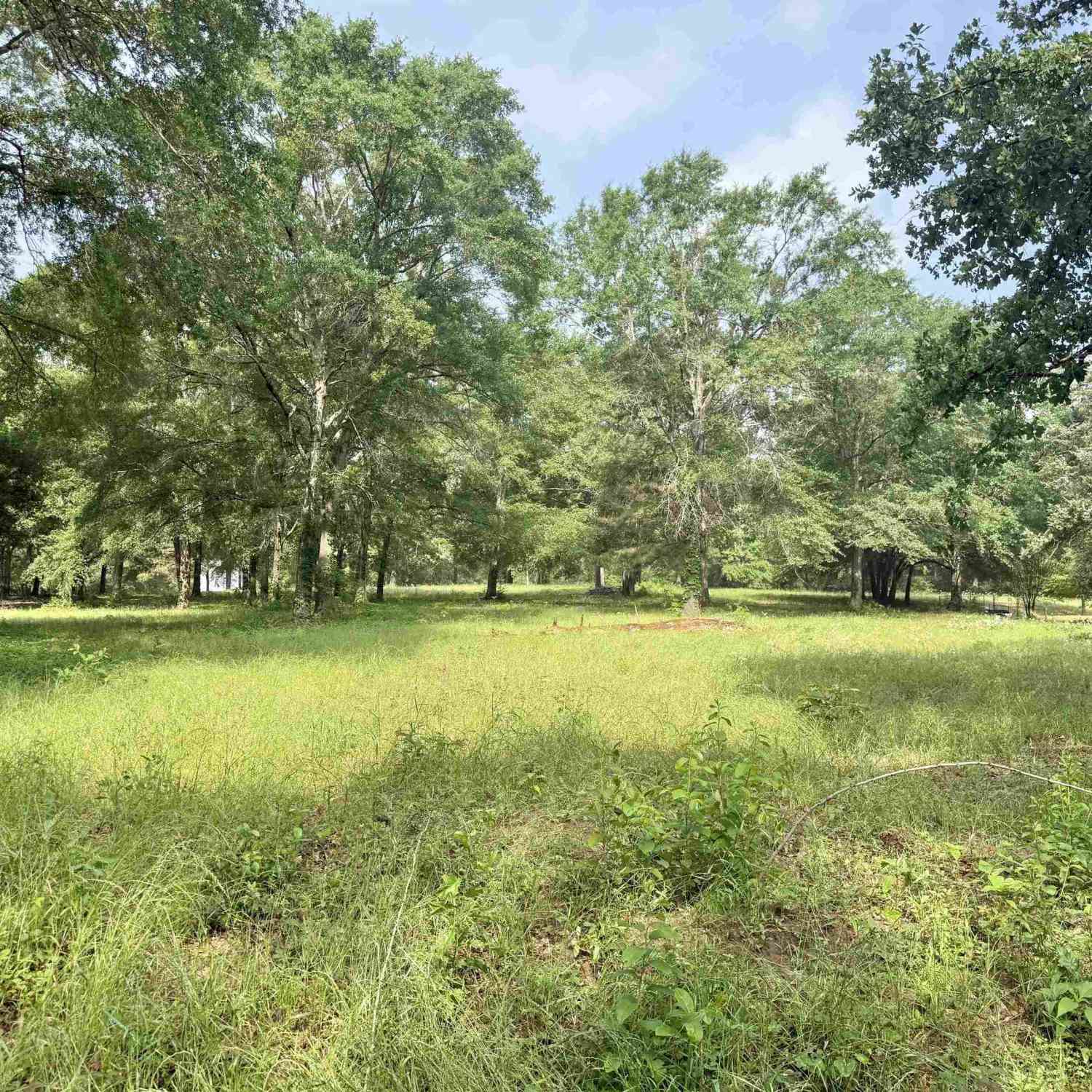 Homes For Sale - TBD Bailey Lane<br/> Jacksonville, TX 75766